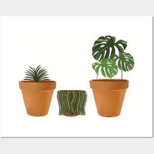 3 House Plants Posters and Art